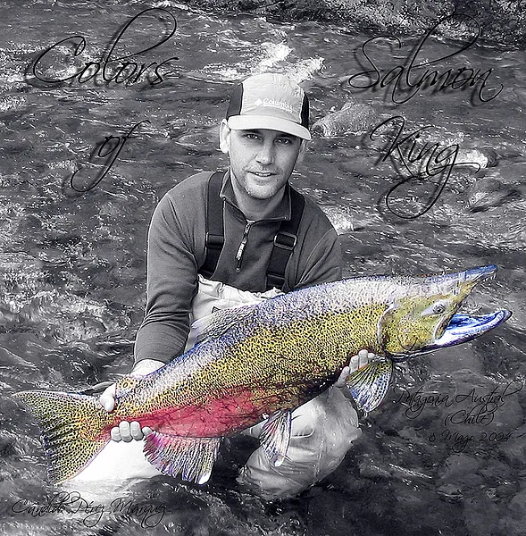 User submitted picture: Colors of Salmon King.
