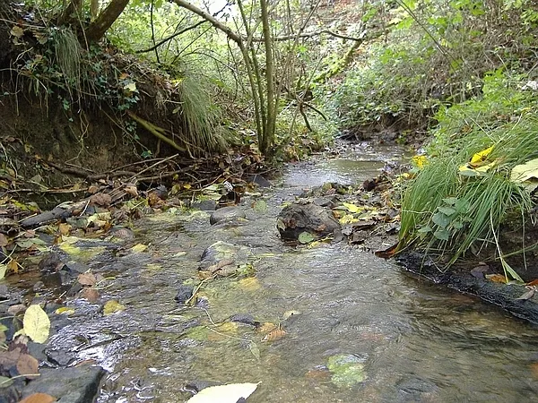 User submitted picture: The maternity ward for se...