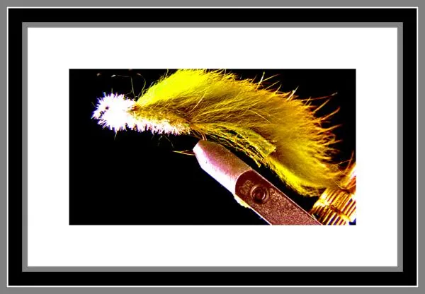 User submitted picture: RabbitollonCura