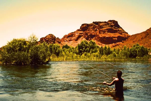 User submitted picture: Took this shot at the low...