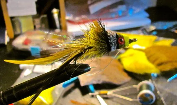 User submitted picture: Hard at work - dahlberg d...