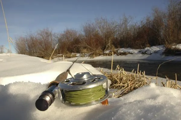 User submitted picture: Rod in Snow