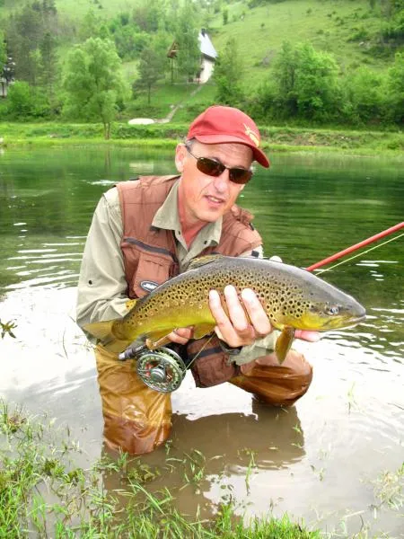 User submitted picture: Brown on dryfly last spri...