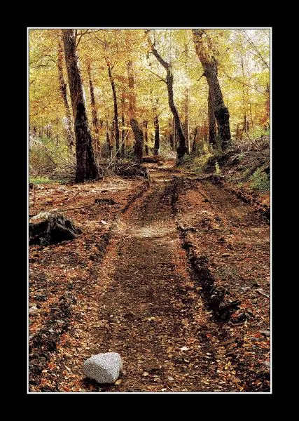 User submitted picture: AutumÂ´s Colours II,San Ma...